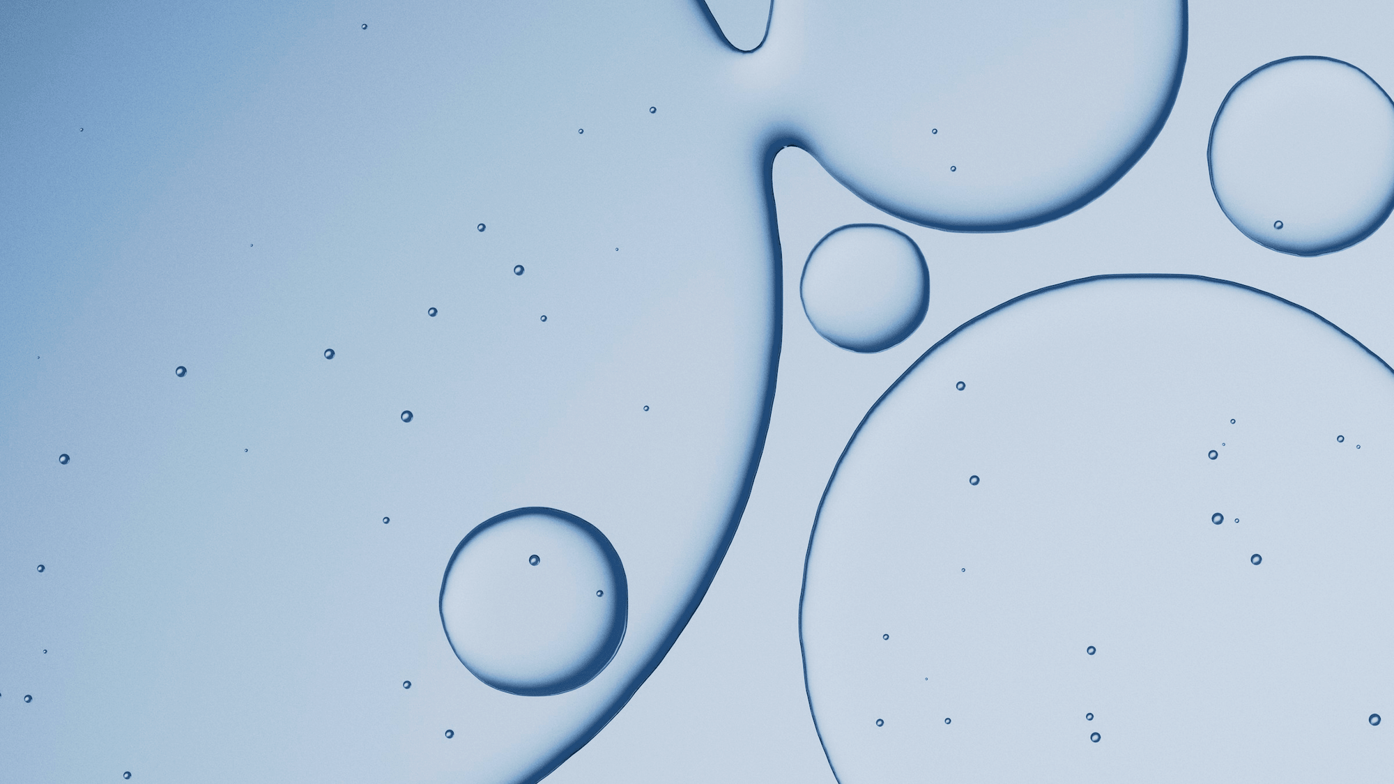 The Chemistry Inside You: How DailyH2 Capsules Generate Molecular Hydrogen - PRIMONUTRA