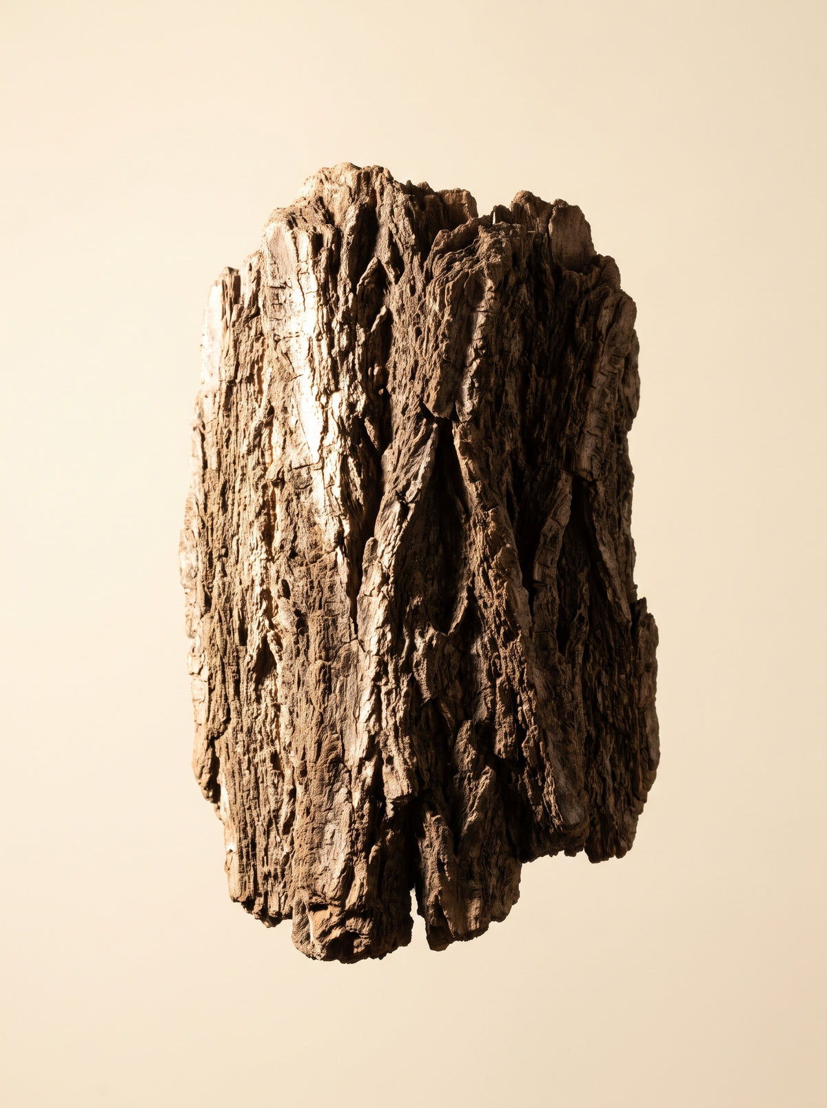 Willow Bark Extract [50% Salicin]
