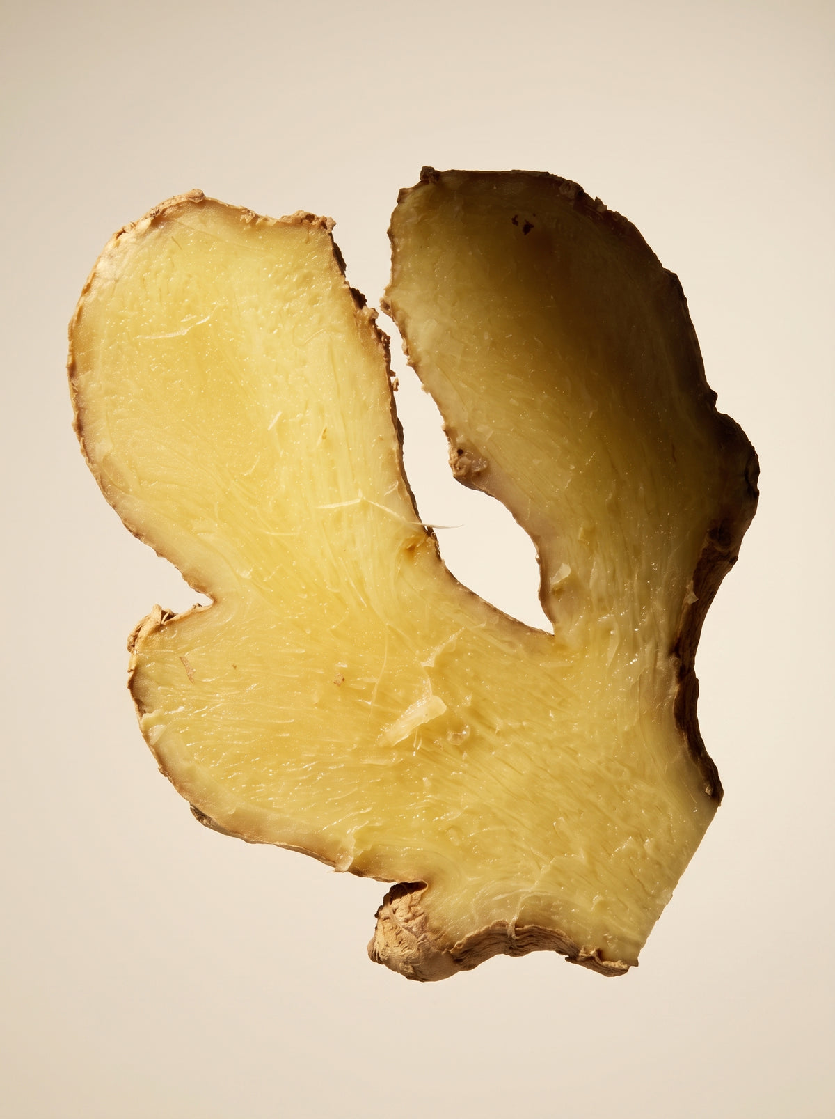 Ginger Extract [20% Gingerol]