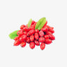GlucoVantage® Dihydroberberine