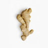 Ginger Extract [20% Gingerol]